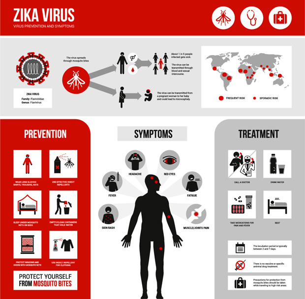 zika-virus-prevention-symptoms-treatment