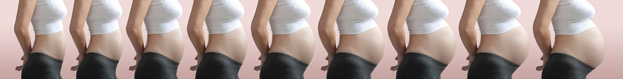Pregnancy Weight Gain Over Time