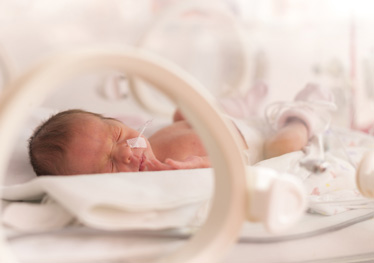 Premature Newborn Baby Gaining Weight in a NICU Incubator